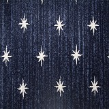 Stanton CarpetStargazer